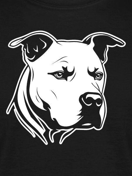 Pitbull