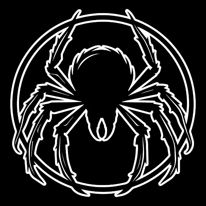 Araignée araignées animaux