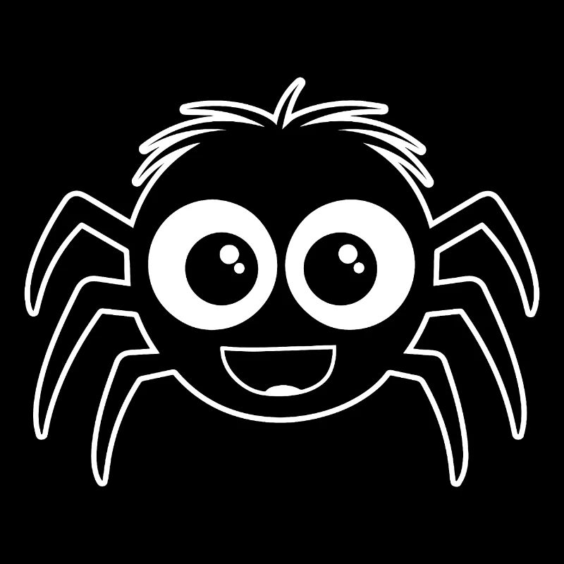 Spider spiders animals