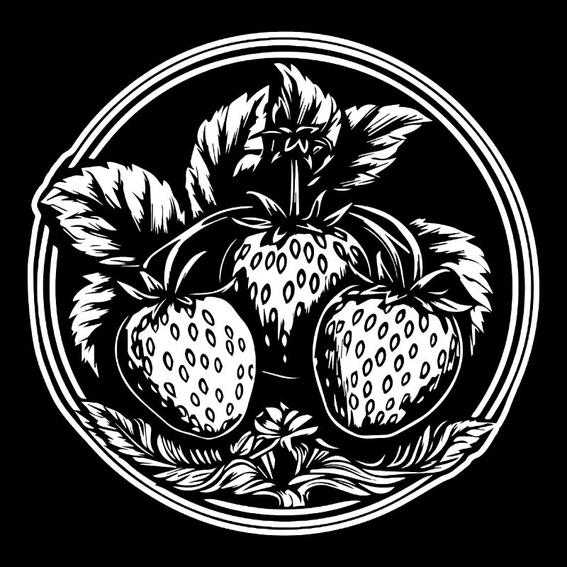 Fraise Fruit Fruit