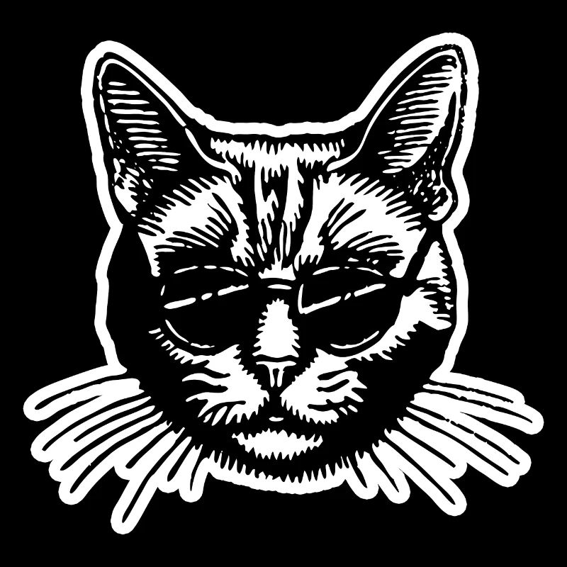 Chat Chats Chat Dame Chat Amoureux Chat Visage