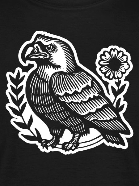 Eagle Eagle Head