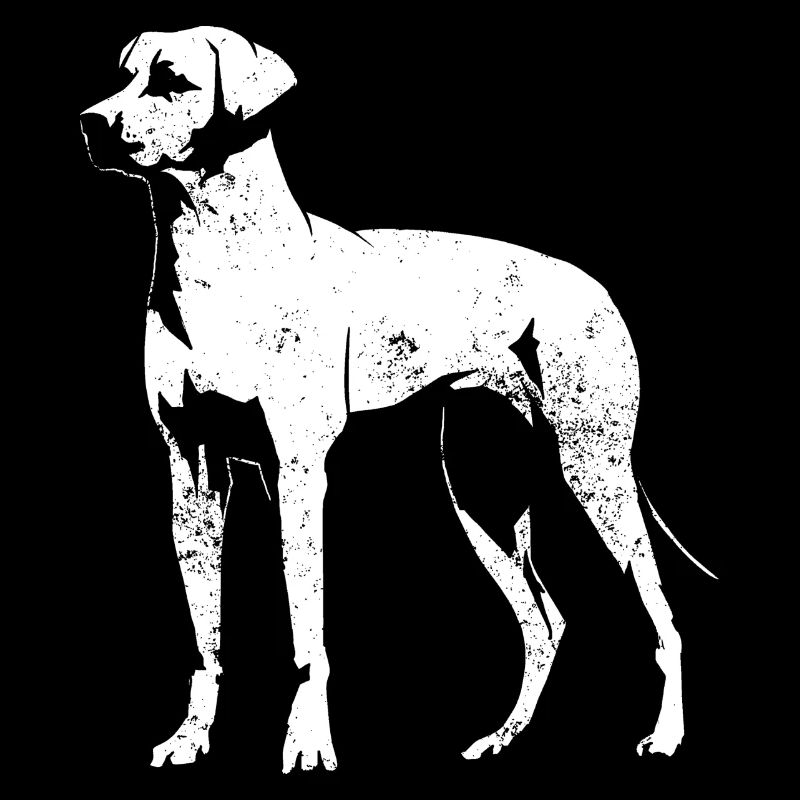 Rhodesian Ridgeback