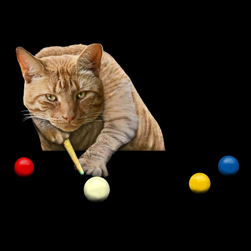 SNOOKER CAT - CAT PLAYING SNOOKER - POOL BILLARD