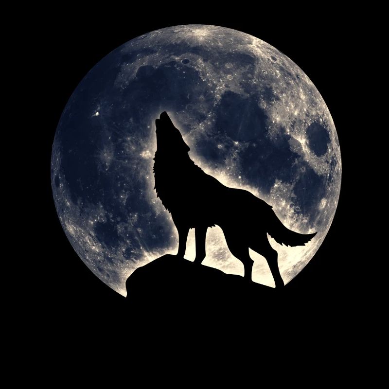 Wolf howling, full moon, fantasy, magic, symbol