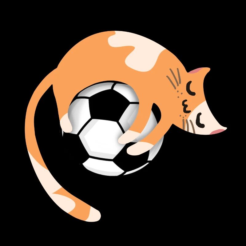 Chat avec le football