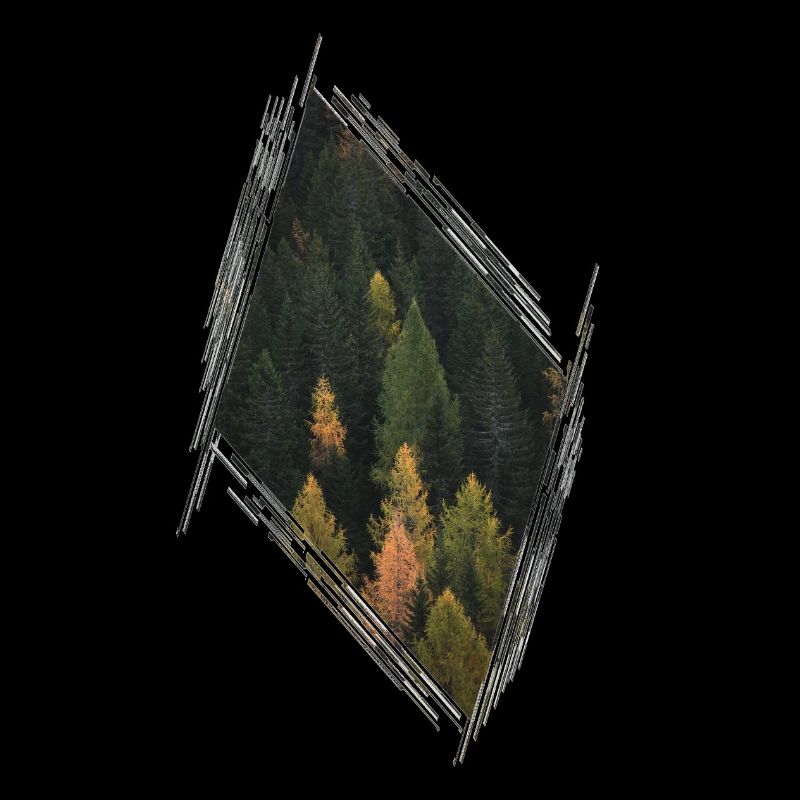 Wald