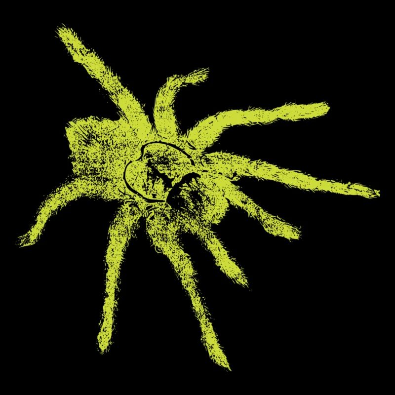 spider