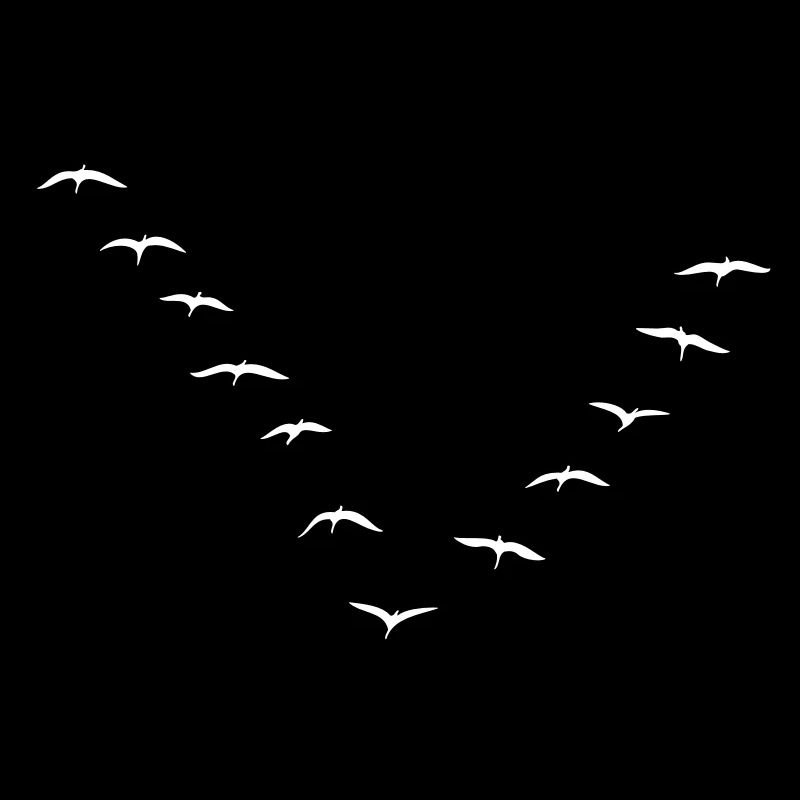 Migrating