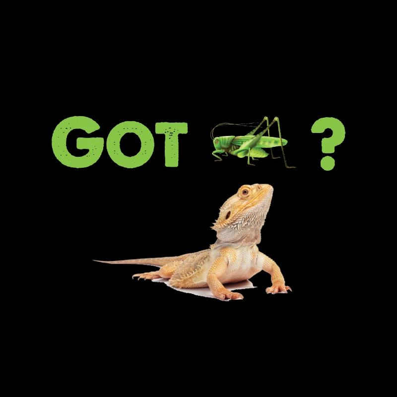 Bearded Dragon - Got Crickets / Locusts?