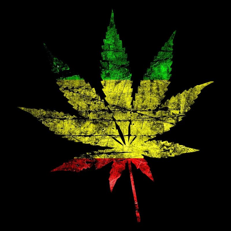 cannabis