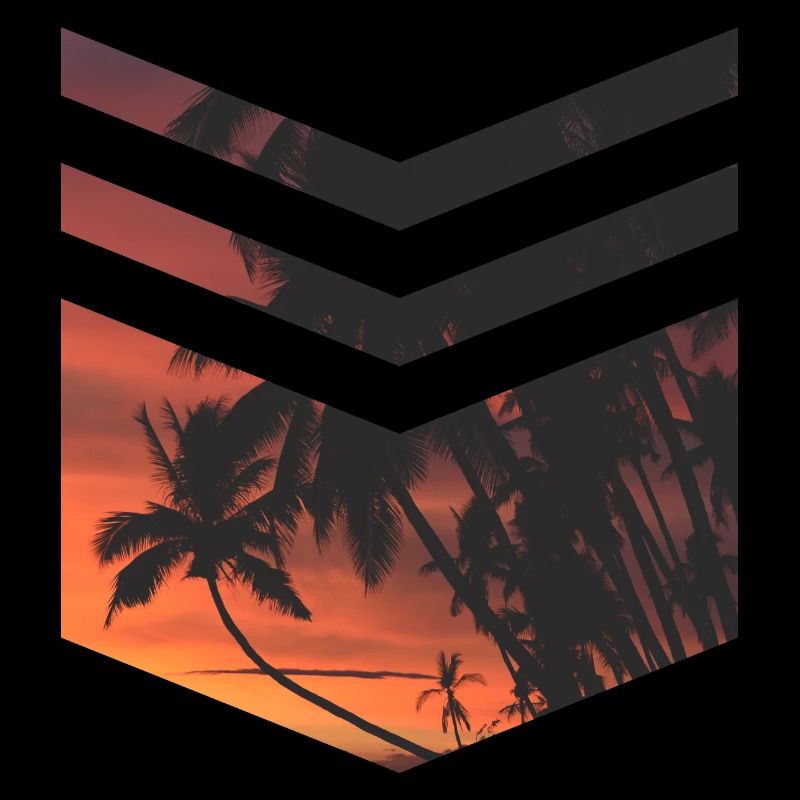 Palm Beach Triangle