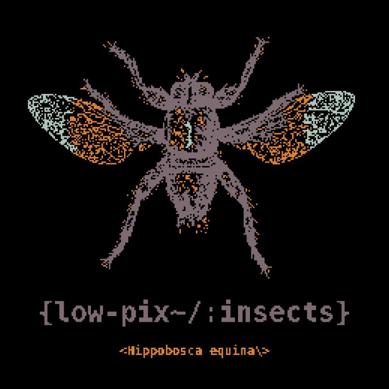 Mouche des forêts