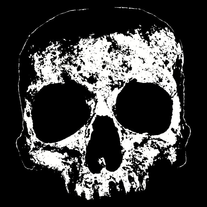 The Skull