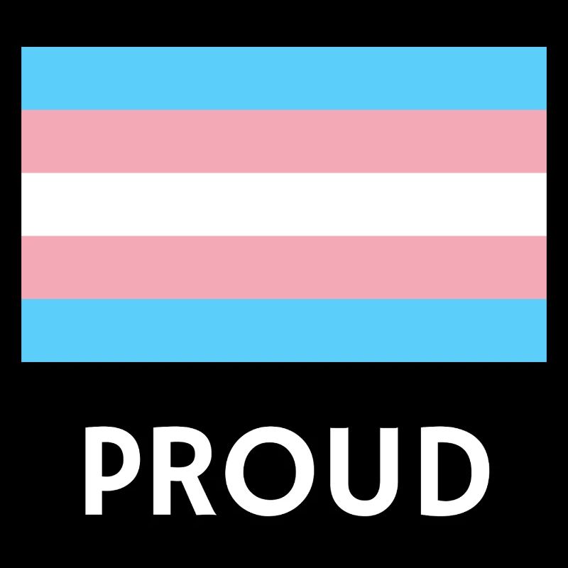 PROUD trans flag