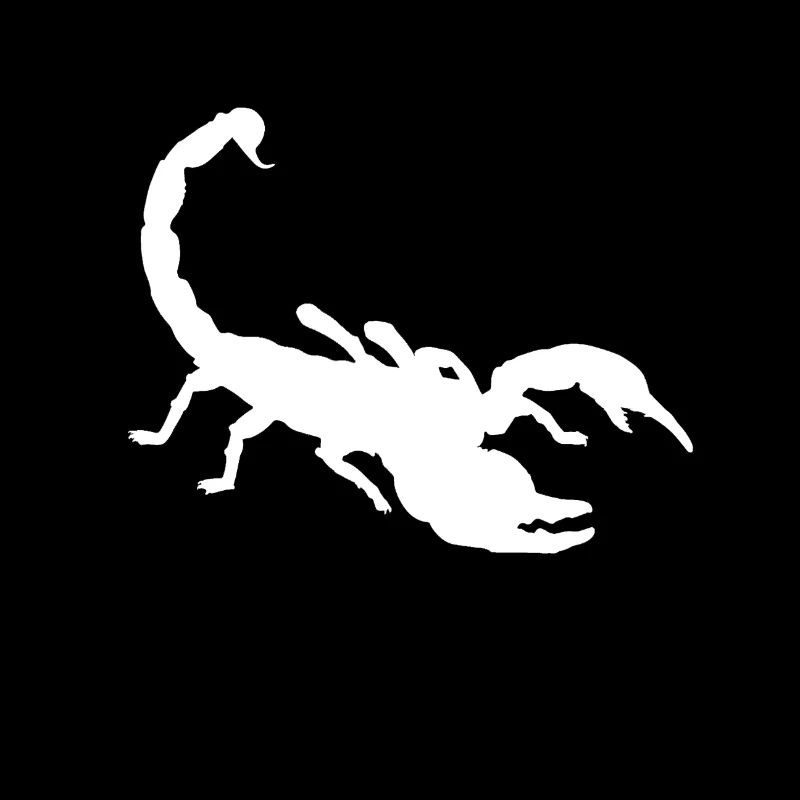 Scorpion Signe du zodiaque constellation et animal du désert