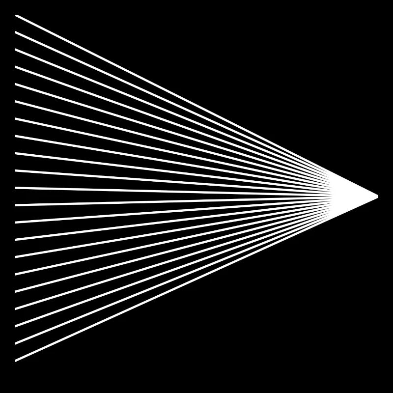 Rayons (blanc)