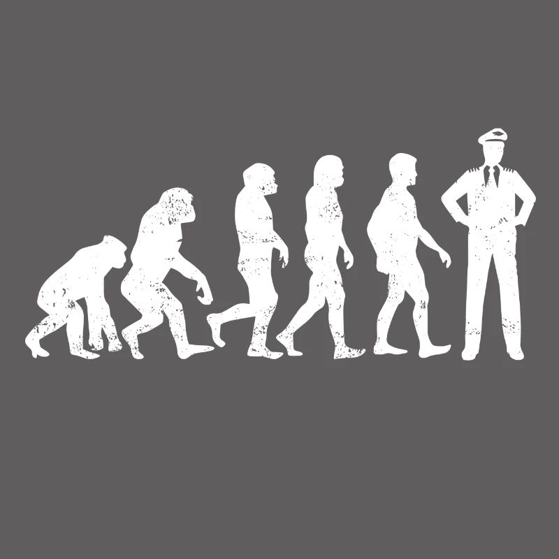 Evolution Pilot Airplane