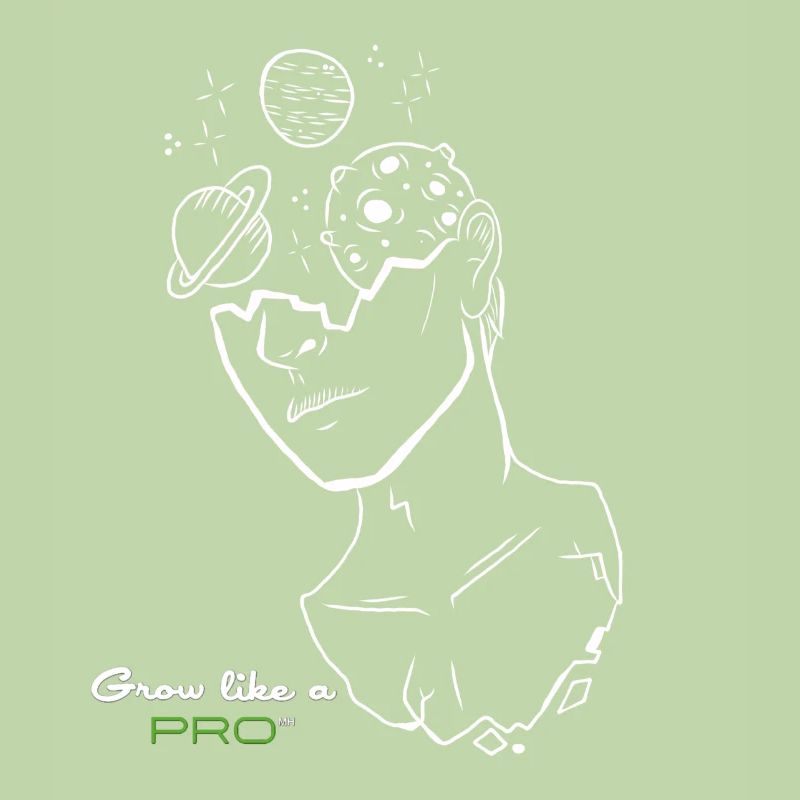 Spacy Grow comme un pro