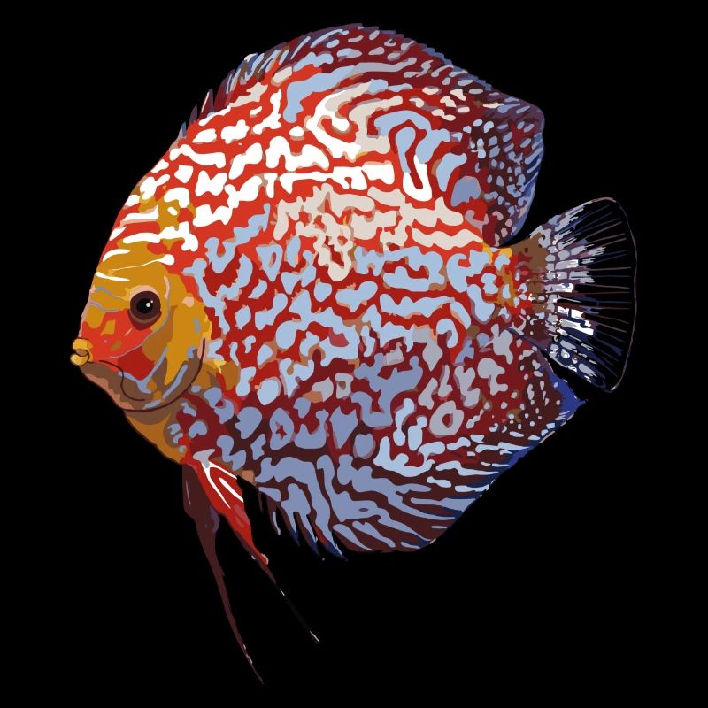 Discus