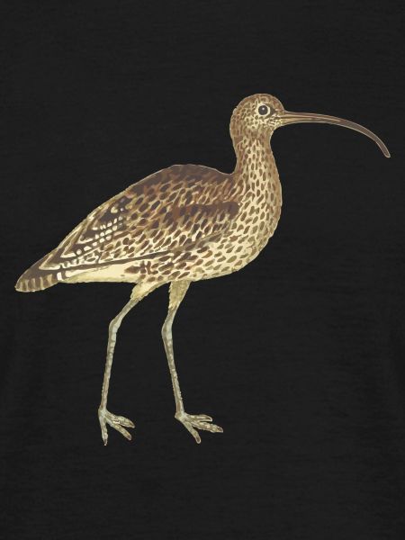 Vogel