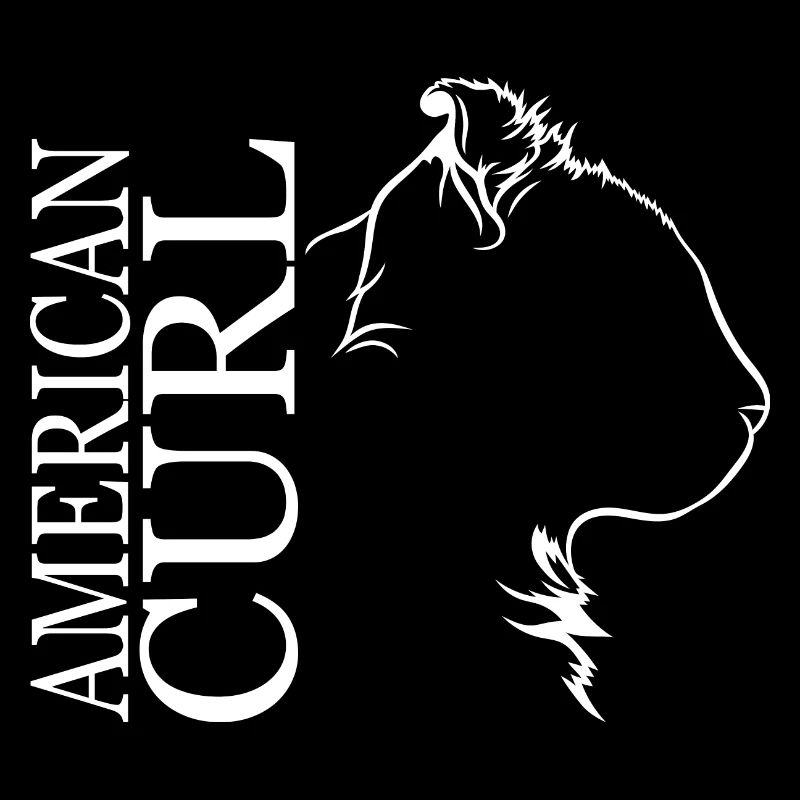 American Curl Profile Cat Cat Wilsigns