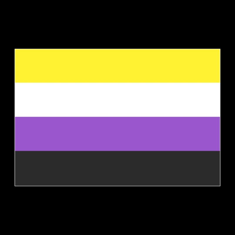 Non-binary Flagge