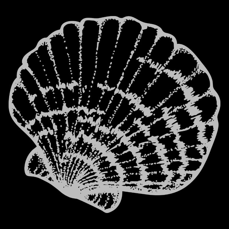 Shell -drawn