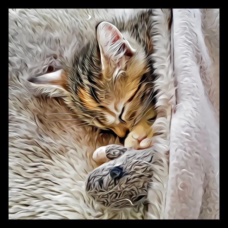 Kitten sleeping with favorite toy mouse