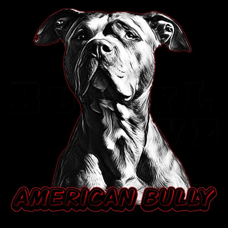 American Bully XL