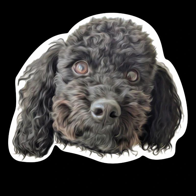 Poodle head black