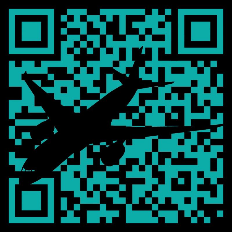 Aerospace Engineering Aviation Aviators