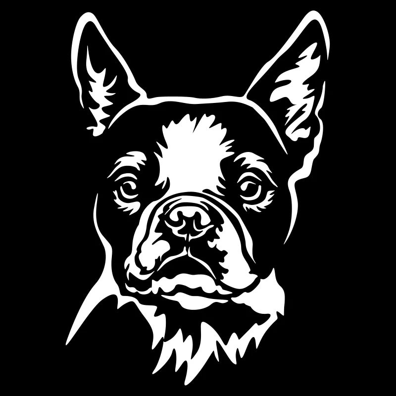 Boston Terrier Kopf "Black Edition"