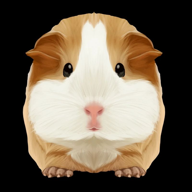 cobayes Tobi