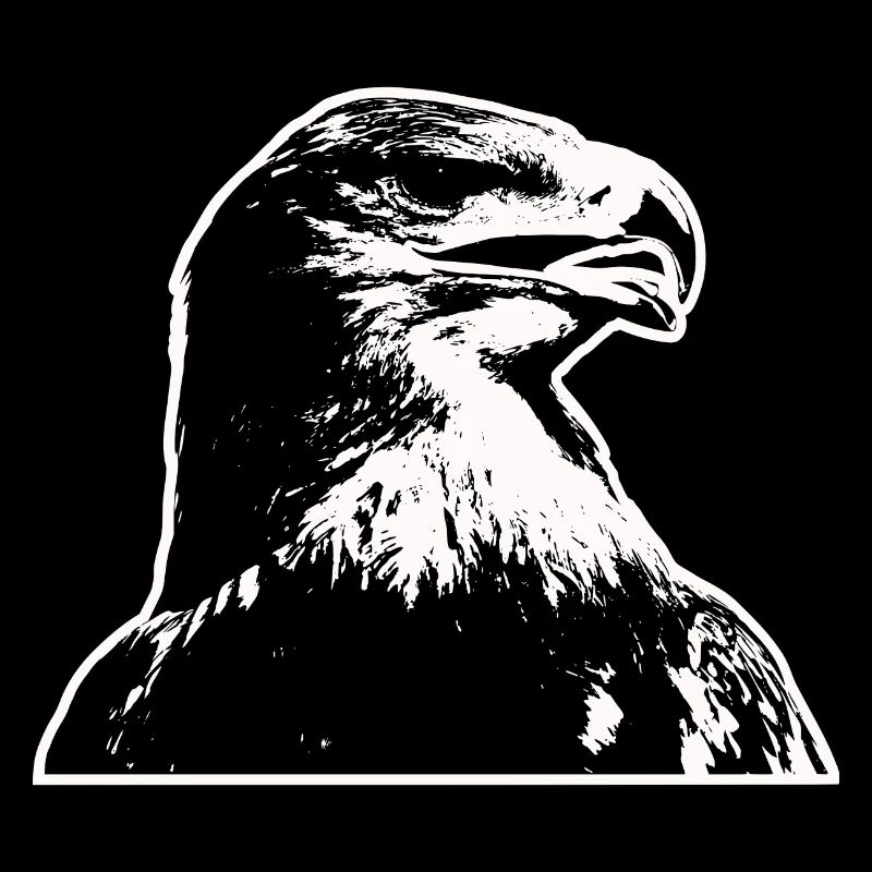 Der Adler ein stolzer selbstbewusster Greifvogel