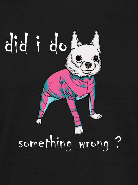 Funny animals
