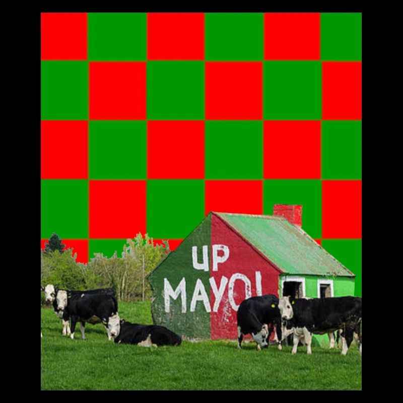 Comté de Mayo GAA