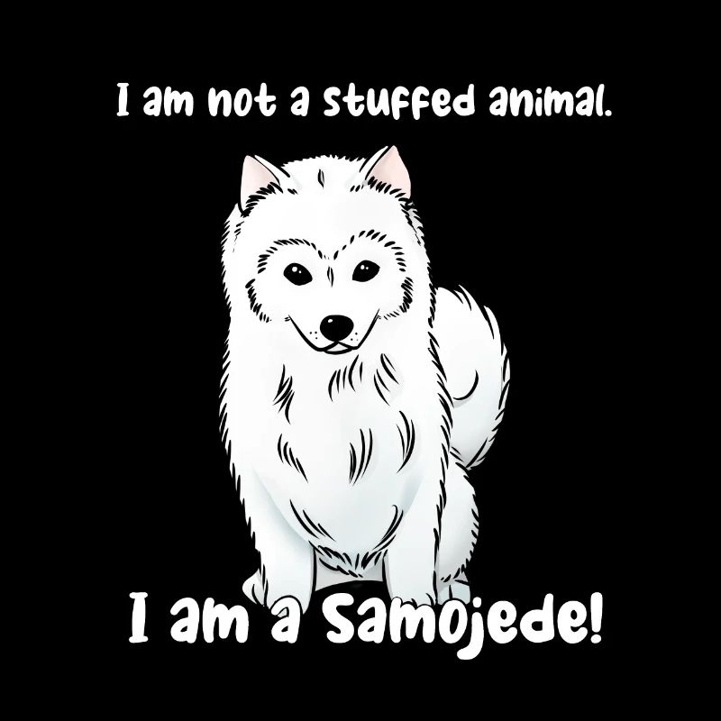 I'm not a cuddly toy. I am a Samoyed!