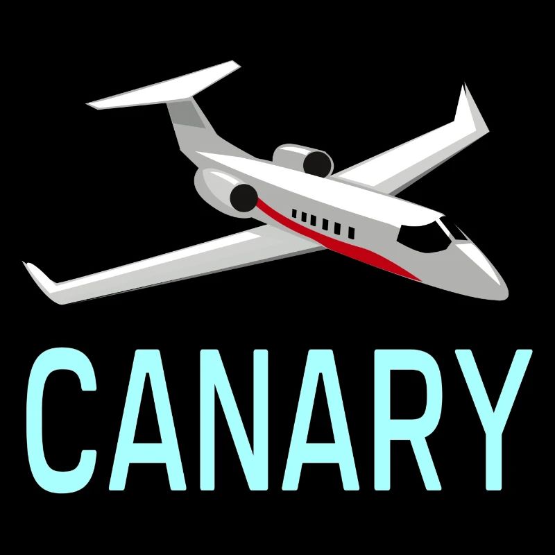 Aviation Canary Jet
