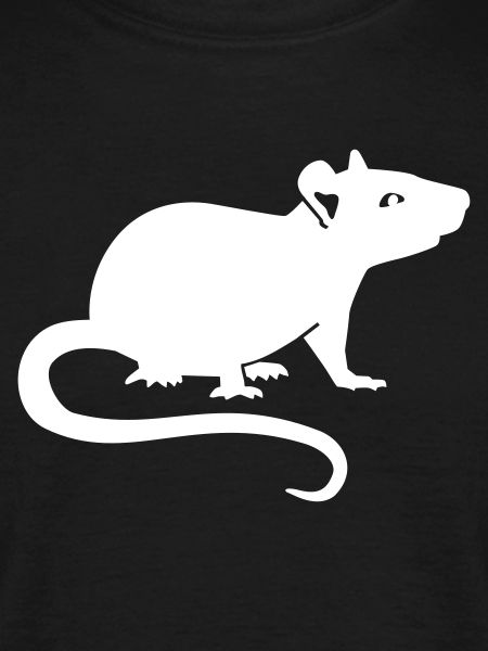 Ratte