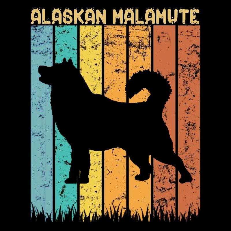 Malamute d’Alaska