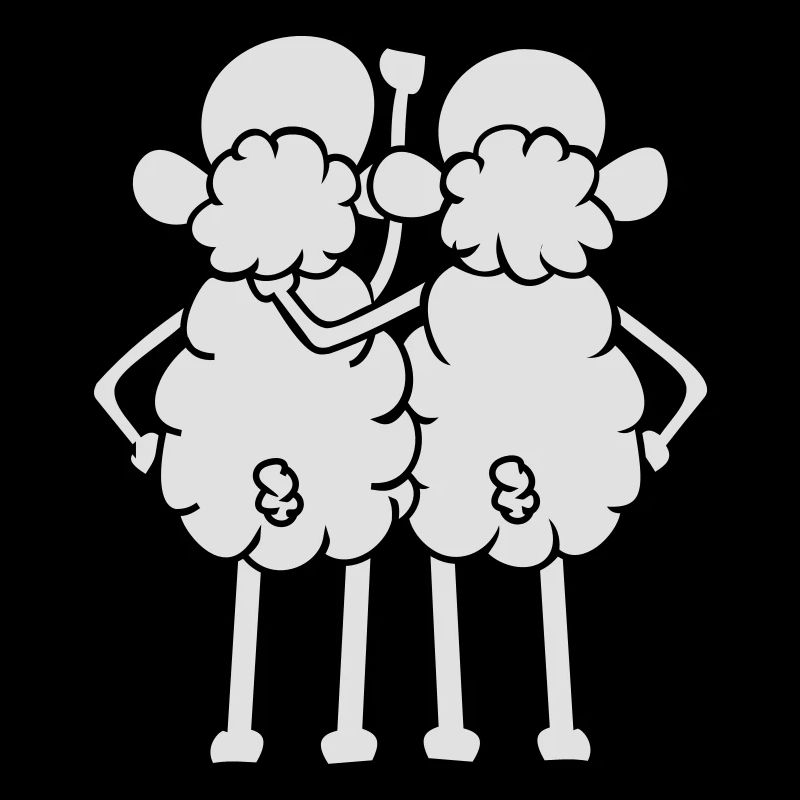 Sheep - Amis