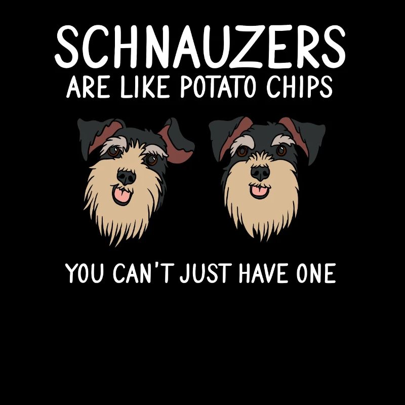 Zwergschnauzer