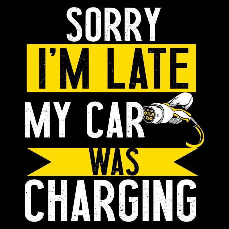 My car was charging ecologic gift electric car