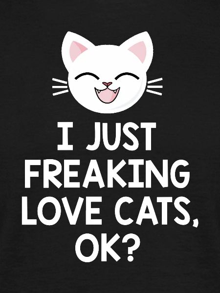 chat