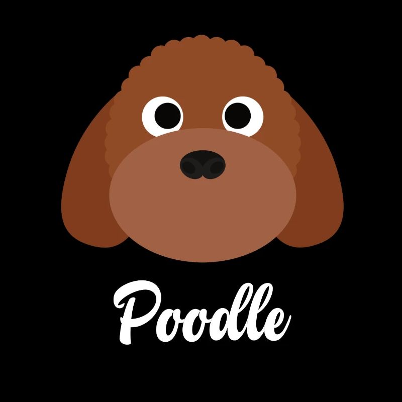 Caniche - Caniche miniature