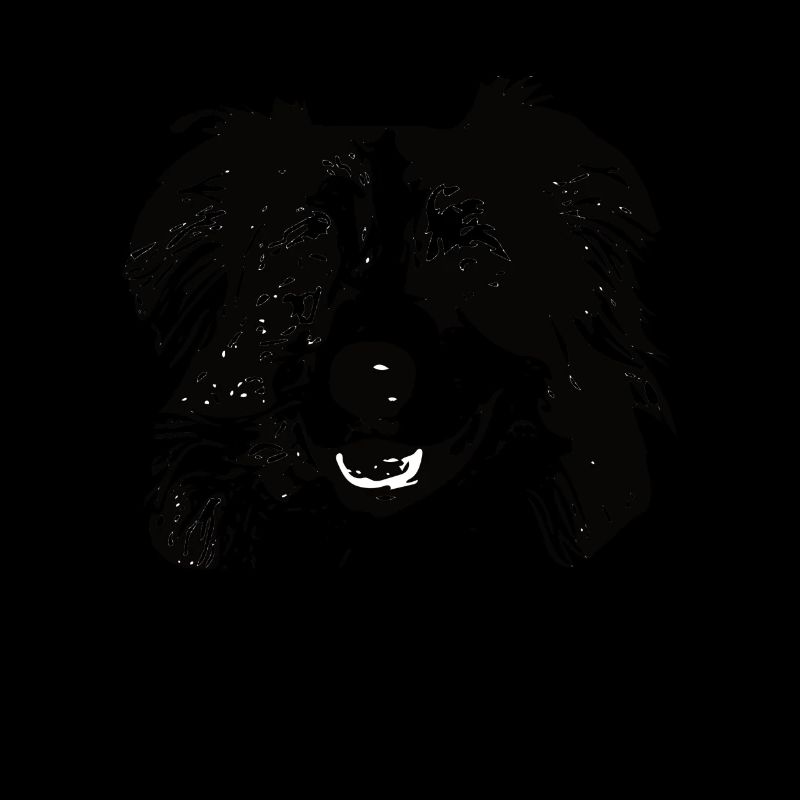 Australian Shepherd Dog Aussie