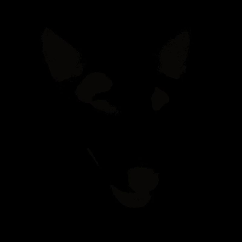 Bull Terrier miniature