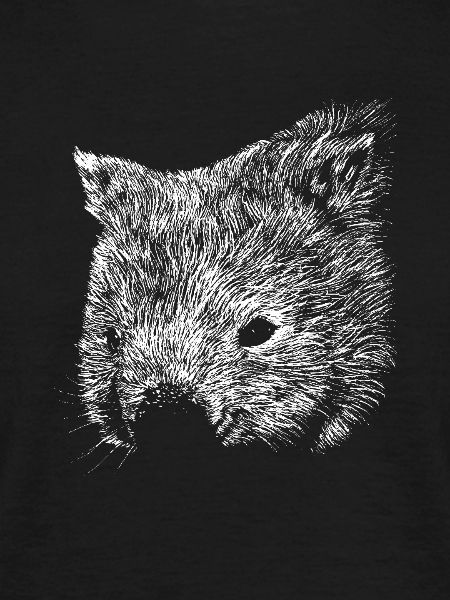 Wombat Zeichnung