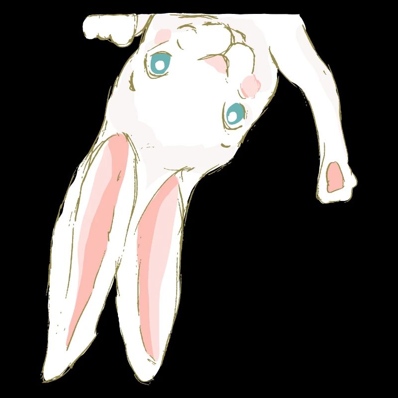 Hase Bunny